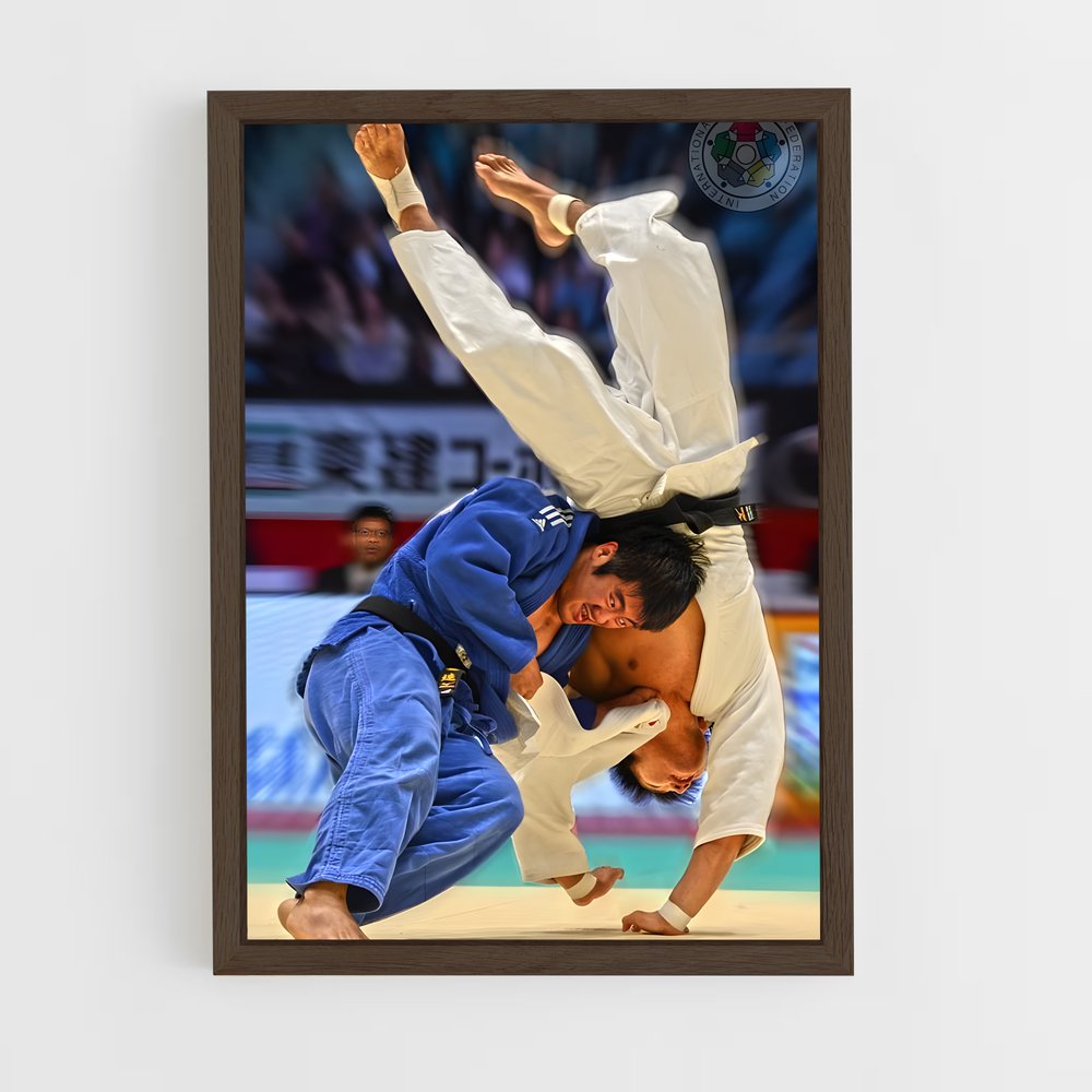 Poster Judo Legend (vue 5)